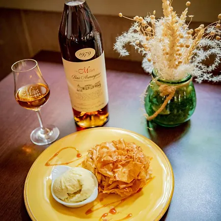 Hotel Henri Iv - Restaurant Eauze